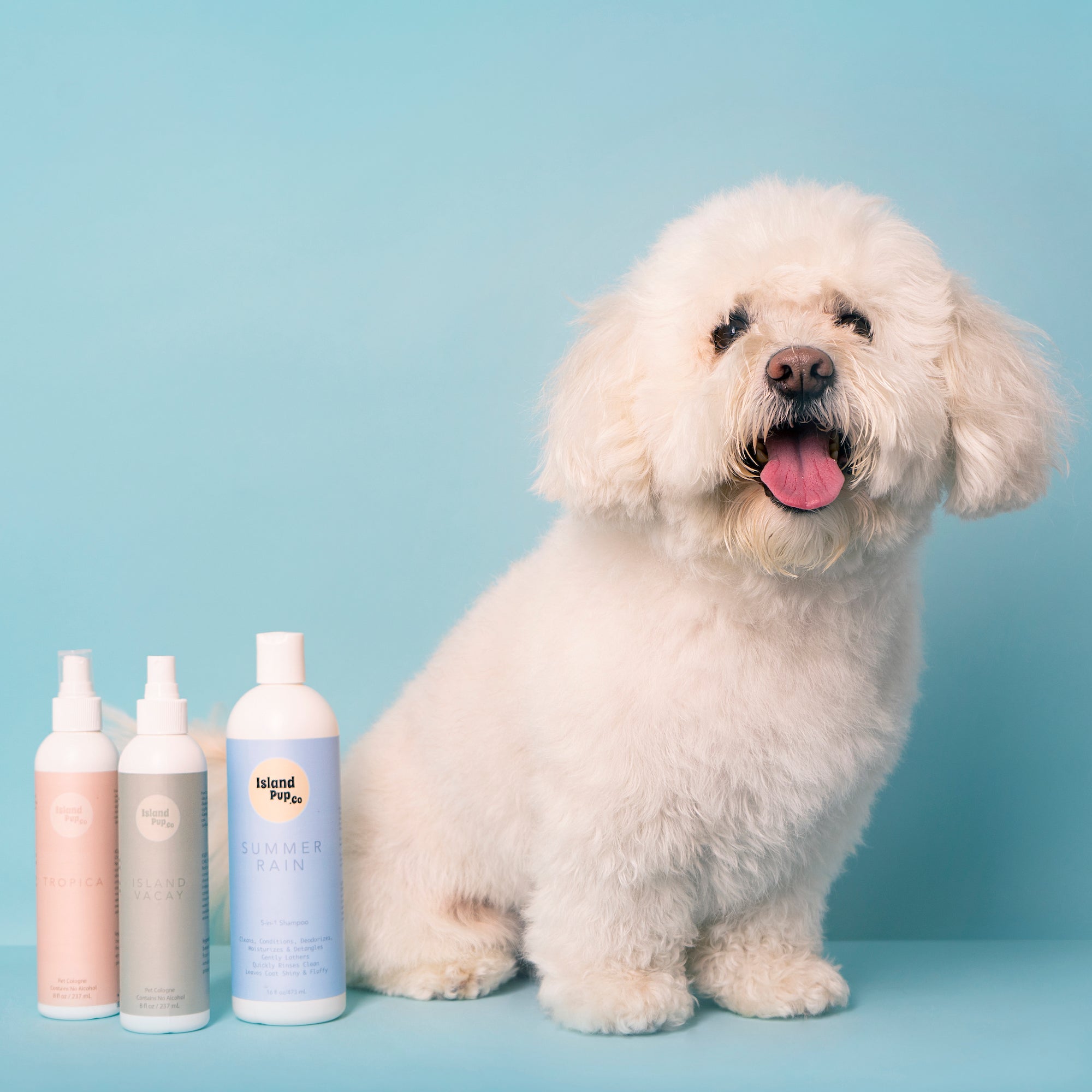 The Hidden Dangers of Dog Shampoos and Why IslandPup.co Goes Natural - Islandpup.co