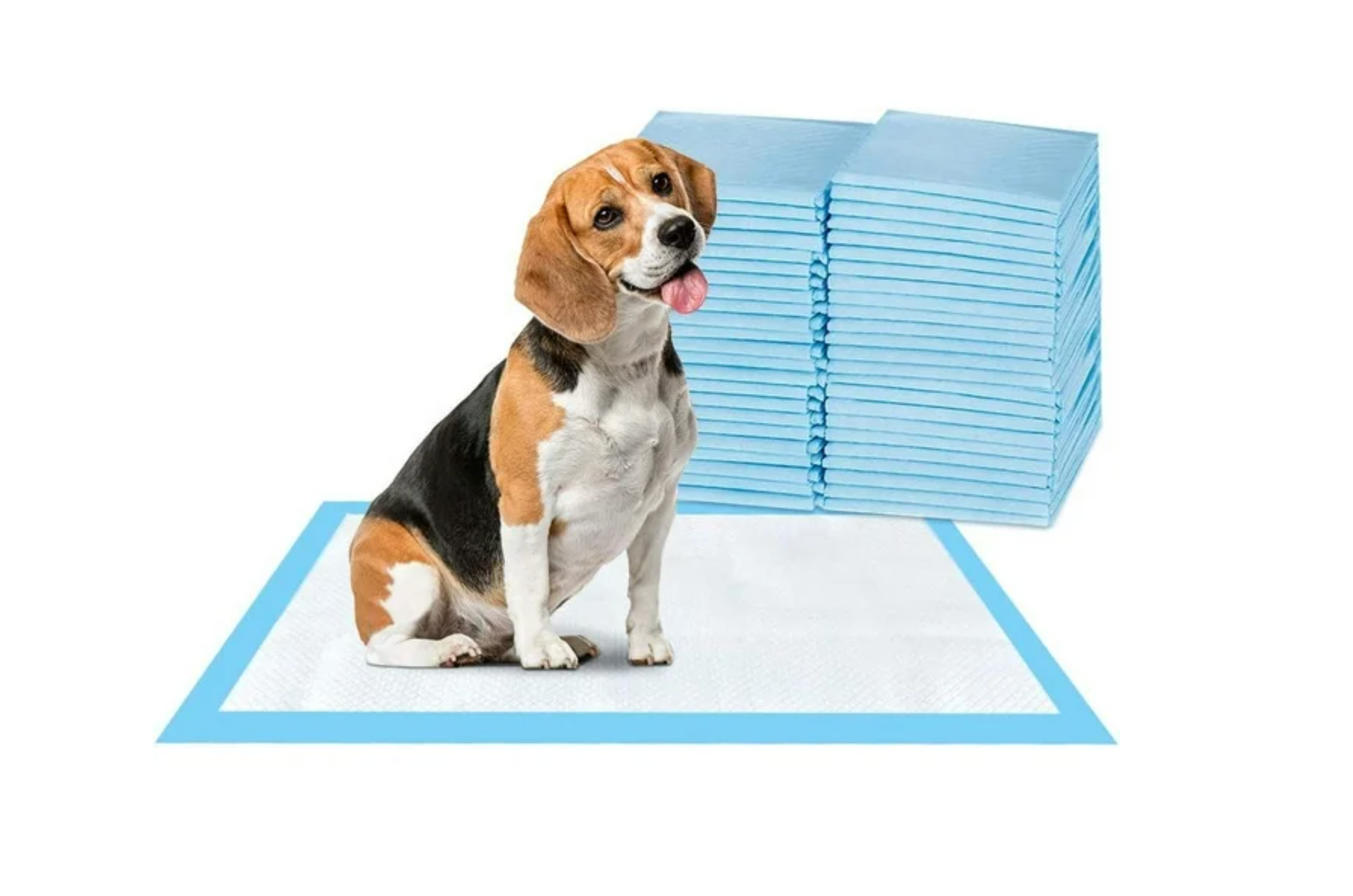 Pee Pads for Dogs: 50-Pack Leak-Proof Training Pads, 23"x30" - Super Absorbent Puppy Pee Pads for Indoor Use